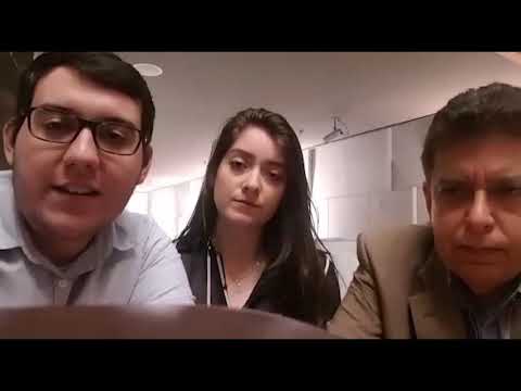 ICFEI – estado da arte