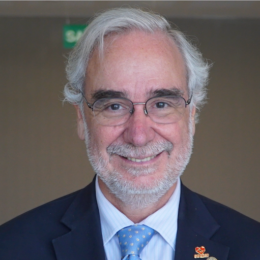 José Francisco Kerr Saraiva
