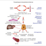 Figura 3