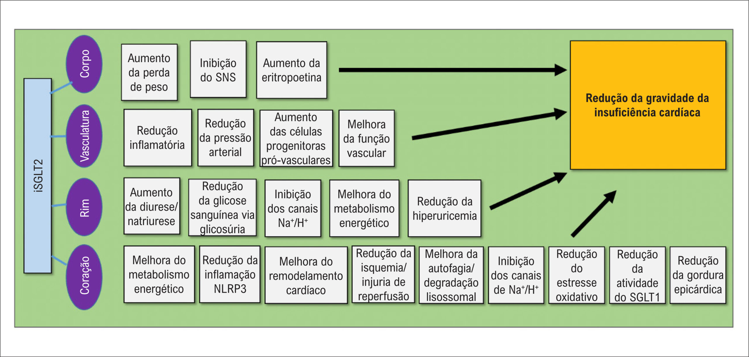Figura 1