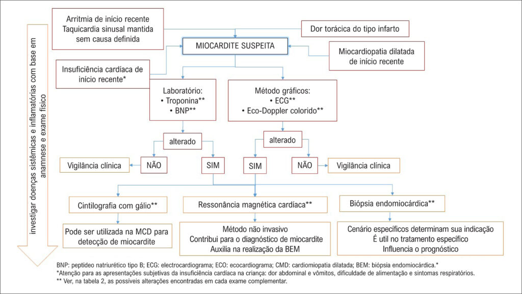 Figura 1