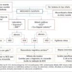 Figura 1