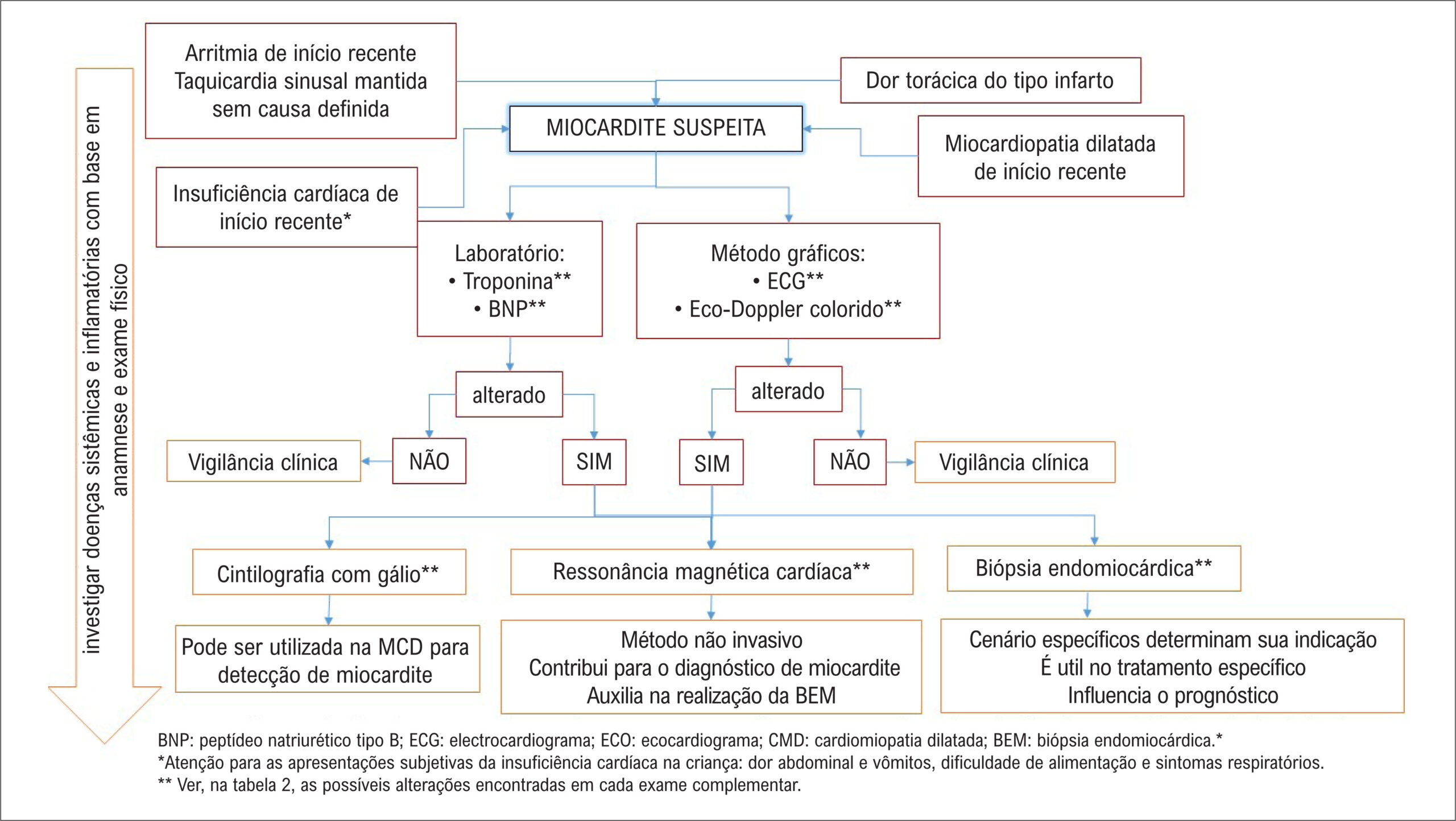 Figura 1