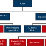 Figura 1