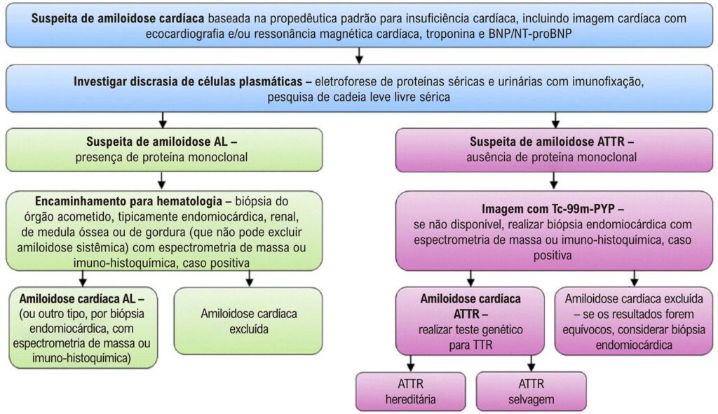 Figura 2