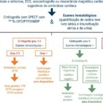 Figura 3
