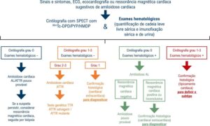 Figura 3