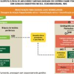 Figura 4