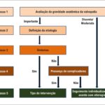 Figura 1