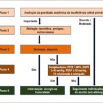 Figura 5