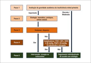 Figura 5