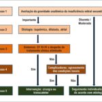 Figura 6