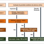 Figura 7