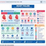 ARB: angiotensin receptor blocker; RBBB: right bundle branch block; LBBB: left bundle branch block; ICD: implantable cardioverter-defibrillator; NYHA: New York Heart Association functional class; AF: atrial fibrillation; HR: heart rate; LVEF: left ventricular ejection fraction; H+N: hydralazine plus nitrate; HF: heart failure; HFrEF: heart failure with reduced ejection fraction; ACEI: angiotensin–converting enzyme inhibitor; ARNI: angiotensin receptor–neprilysin inhibitor; SGLT2i: sodium–glucose cotransporter 2 inhibitor; RAASi: renin–angiotensin–aldosterone system inhibitor; CRT: cardiac resynchronization therapy.