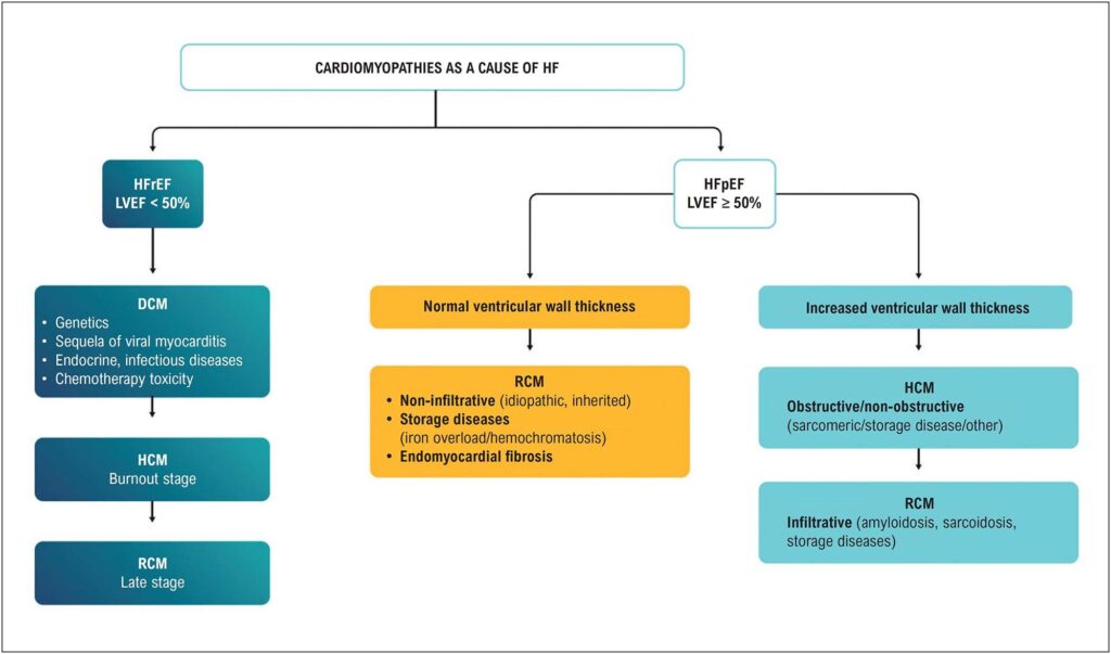 Figure 3.3