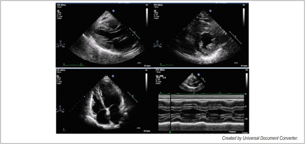 Figure 4