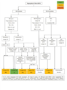 Figura 3