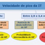 Figura 2