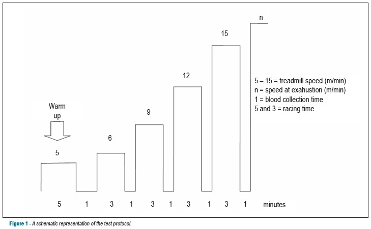 Exercise tolerance in rats with aortic stenosis and ventricular diastolic and/or systolic dysfunction