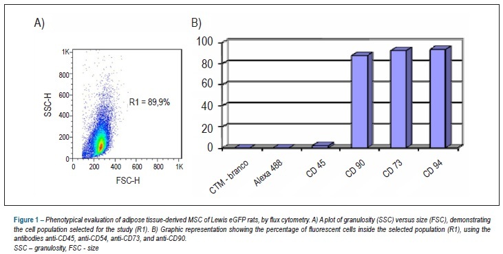 Differentiation of adipose tissue-derived mesenchymal stem cells into cardiomyocytes