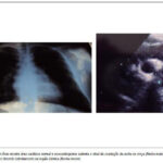Imagem 1 da galeria