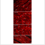 Imagem 1 da galeria