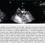 Imagem 2 da galeria