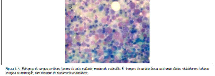 Imagem 2 da galeria