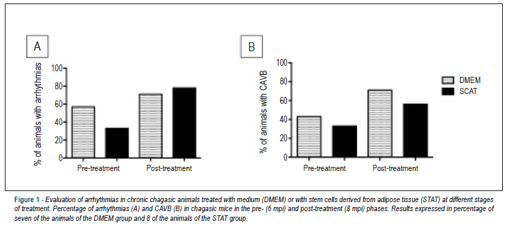 Transplantation of adipose tissue mesenchymal stem cells in experimental chronic chagasic cardiopathy
