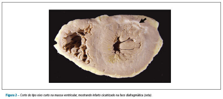 Imagem 2 da galeria