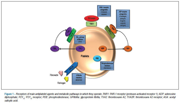 Platelet antiaggregants in primary and secondary prevention of atherothrombotic events