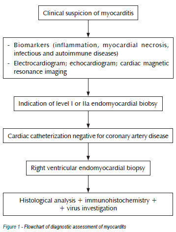 I Brazilian guidelines on myocarditis and pericarditis