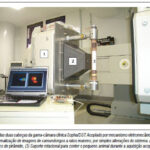 Imagem 1 da galeria