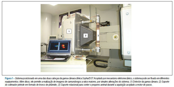 Quantificação da área de infarto usando-se SPECT de perfusão miocárdica de alta resolução em ratos