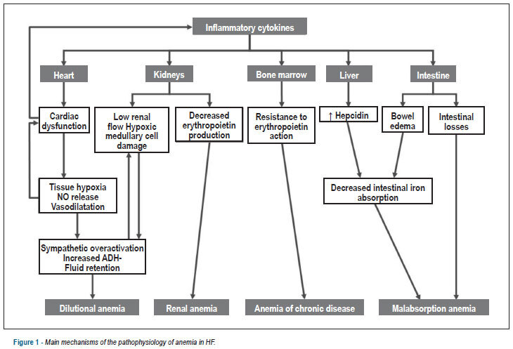 Anemia, heart failure and evidence-based clinical management