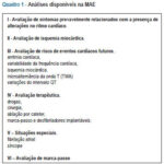 Imagem 1 da galeria
