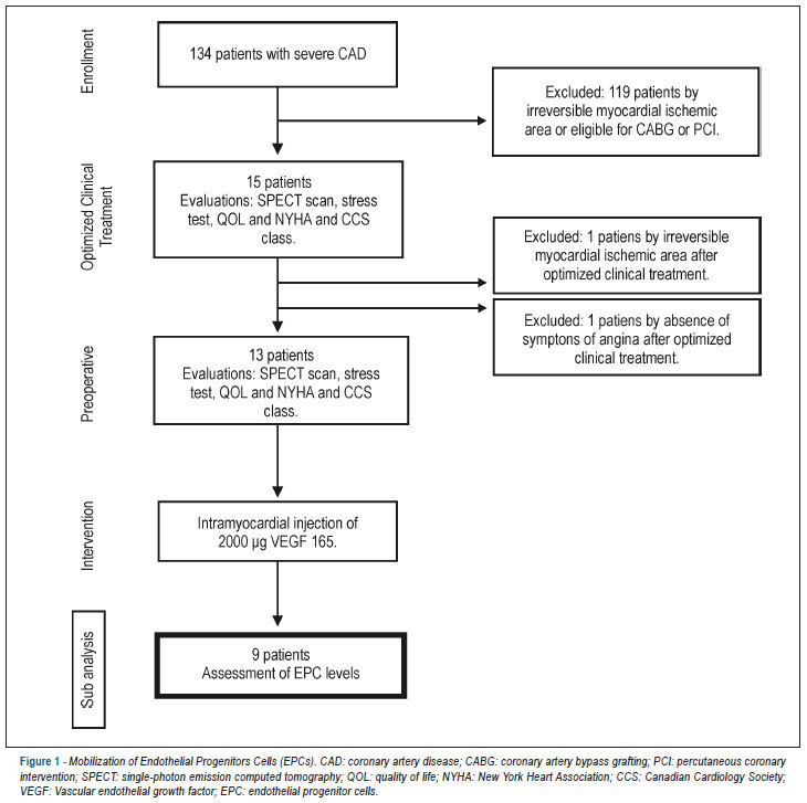 VEGF 165 gene therapy for patients with refractory angina: mobilization of endothelial progenitor cells