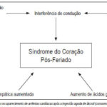 Imagem 2 da galeria