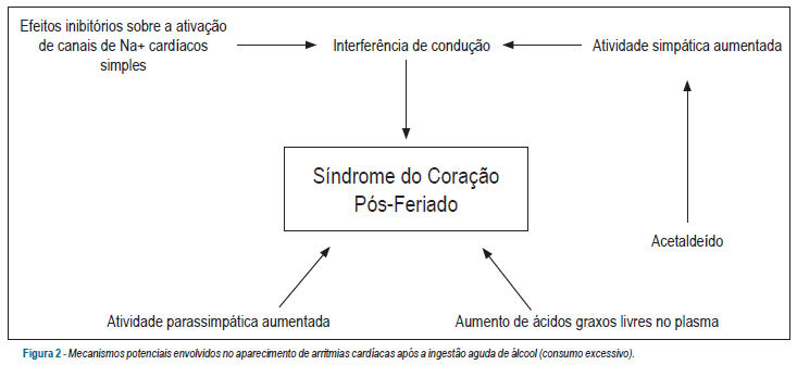 Imagem 2 da galeria