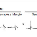 Imagem 2 da galeria