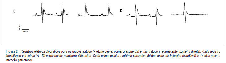 Imagem 3 da galeria