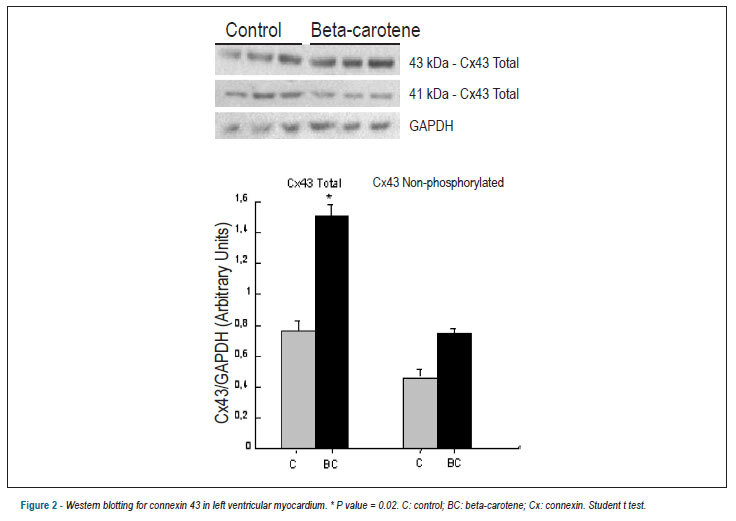 Effect of beta-carotene on oxidative stress and expression of cardiac connexin 43