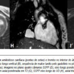 Imagem 11 da galeria