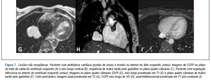 Imagem 11 da galeria