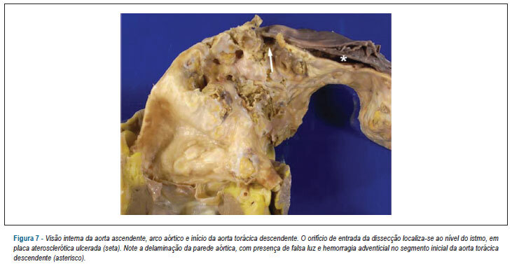 Imagem 7 da galeria