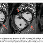 Imagem 1 da galeria