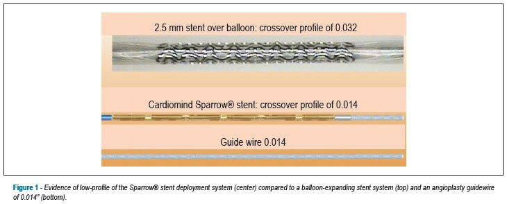 Miniaturized self-expanding drug-eluting stent in small coronary arteries: late effectiveness