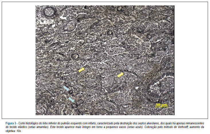 Imagem 3 da galeria