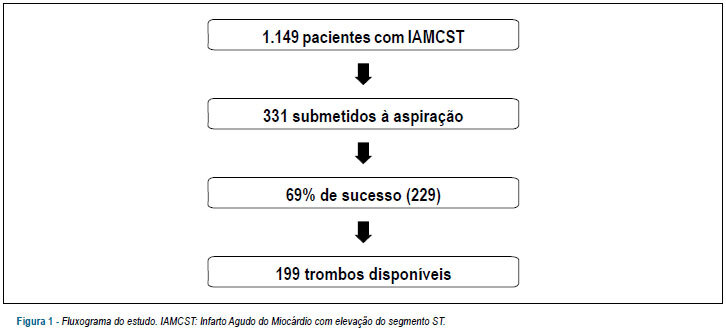 Imagem 1 da galeria