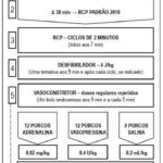 Imagem 1 da galeria